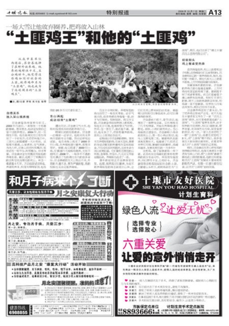 A13版导读