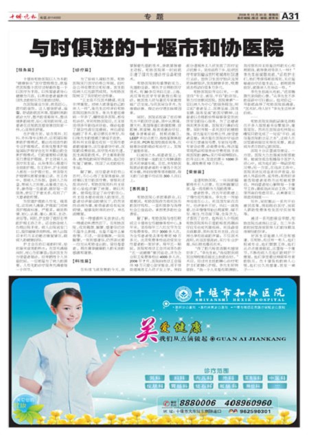 A31版导读