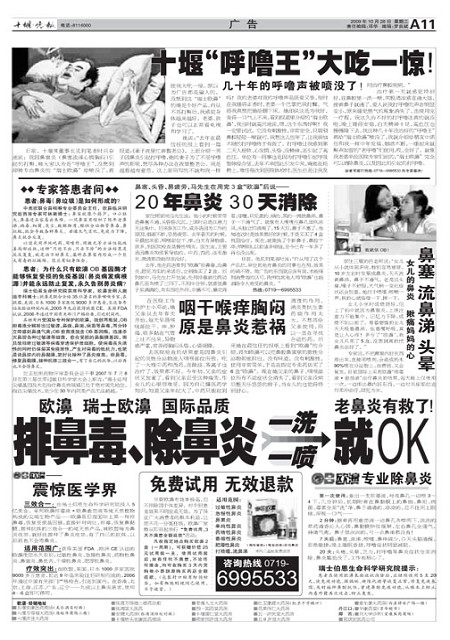 A11版导读