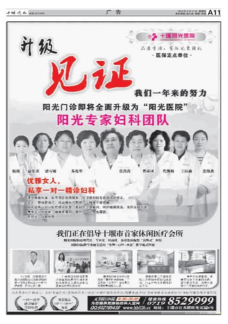 A11版导读