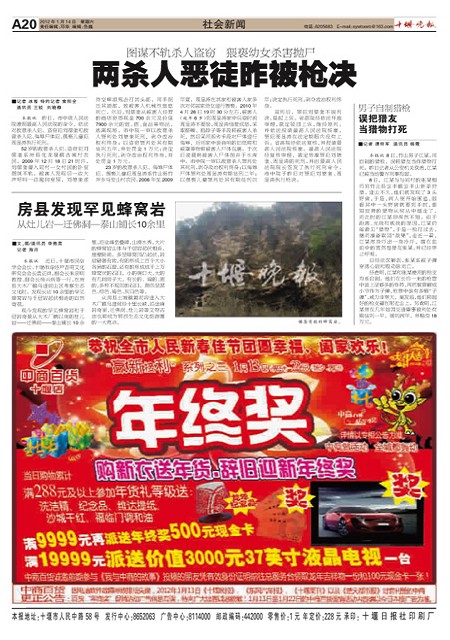 A20版导读