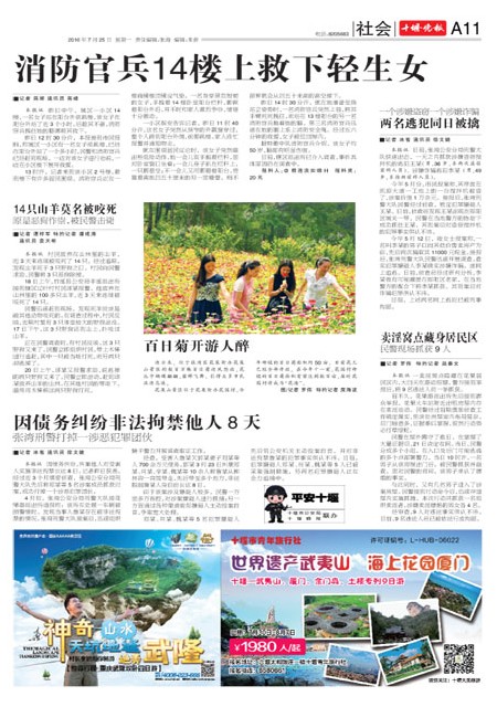 A11版导读