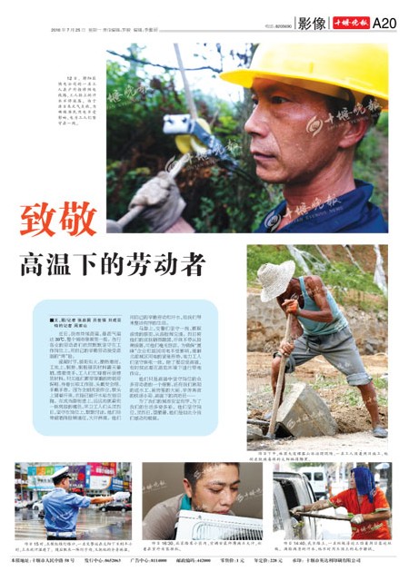 A20版导读