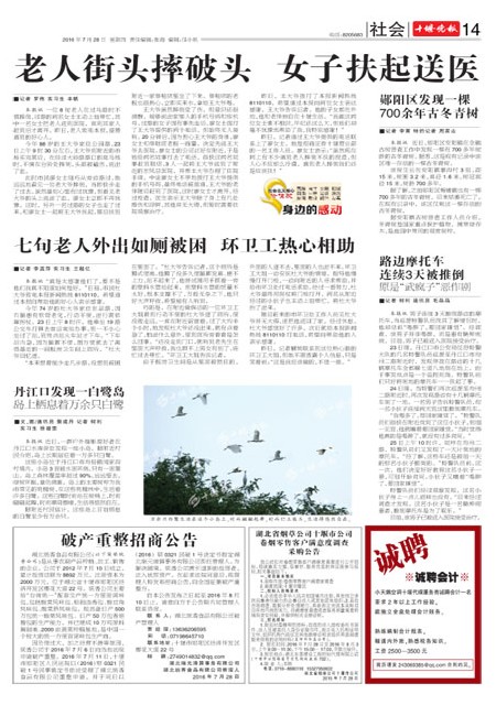 14版导读