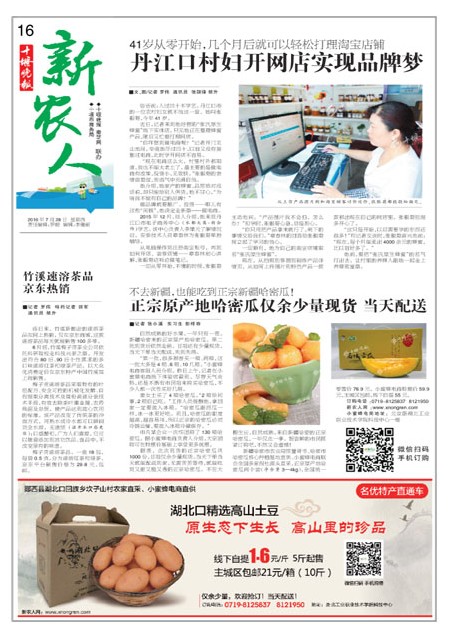 16版导读