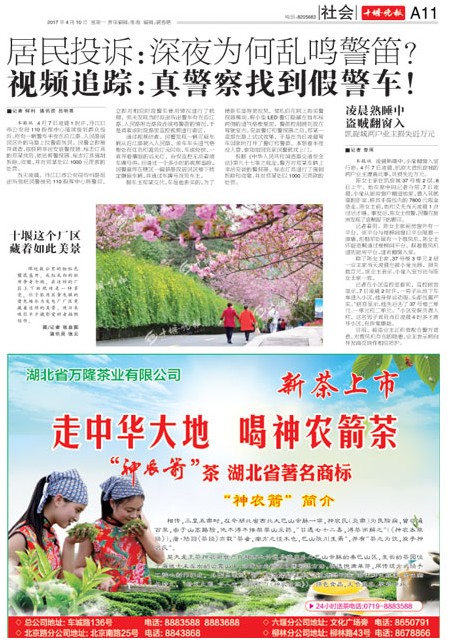 A11版导读
