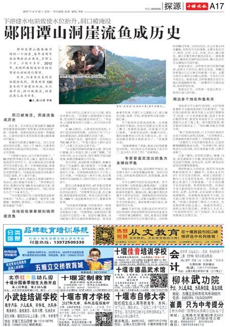 A17版导读