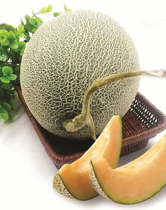 哈密瓜怎么选才是正宗的 18_2.jpg