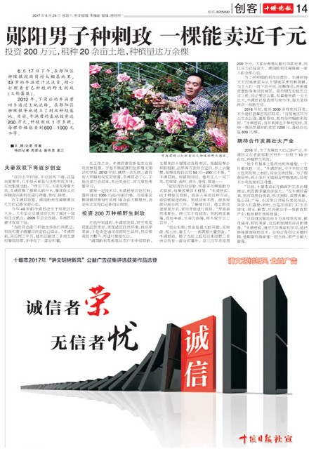 14版导读