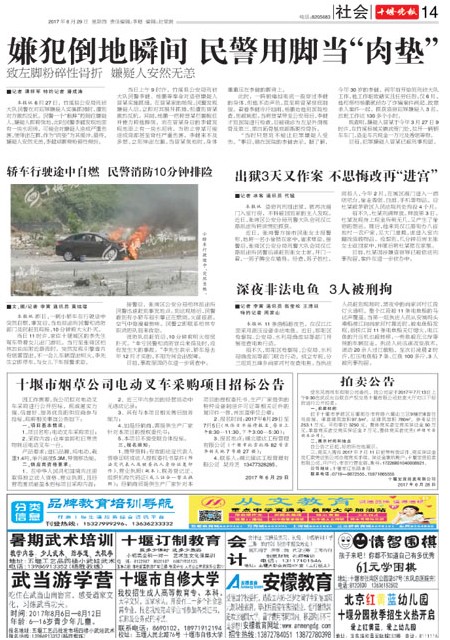 14版导读