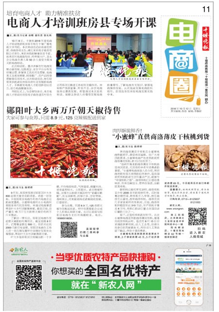 11版导读