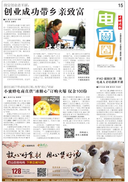 15版导读