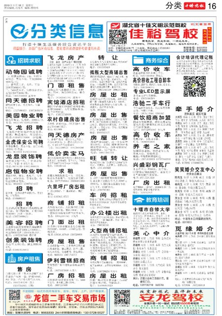 16版导读