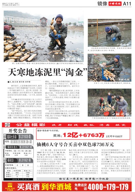 A11版导读