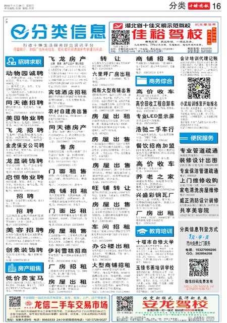 16版导读
