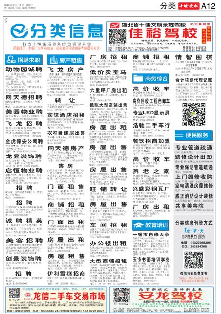 A12版导读