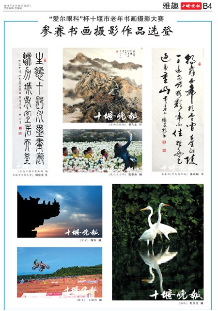 B04版导读