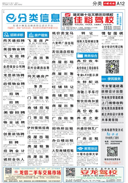 A12版导读