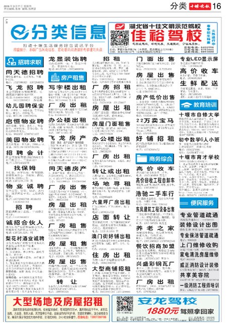 16版导读