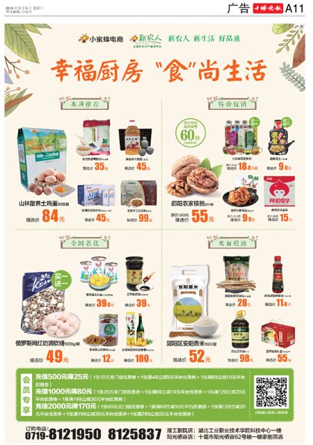 A11版导读
