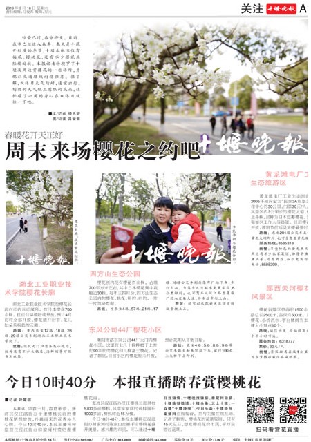 A12版导读