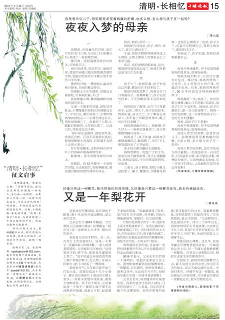 15版导读
