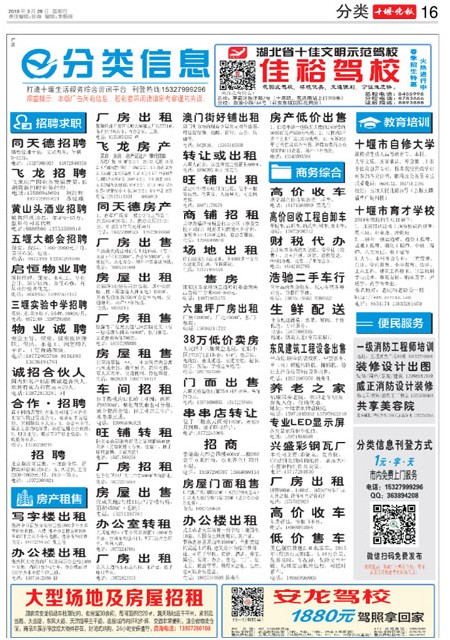 16版导读