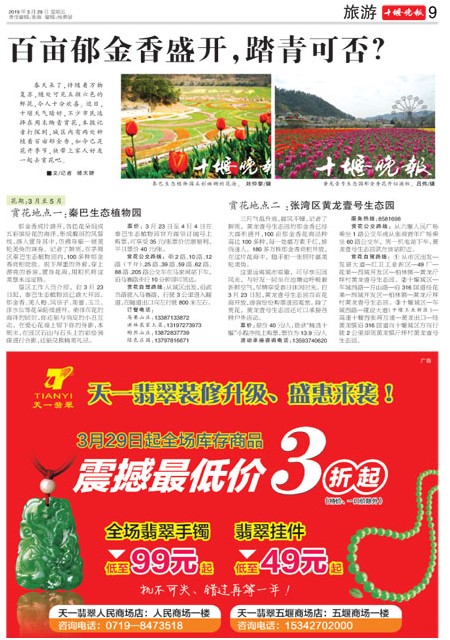 09版导读