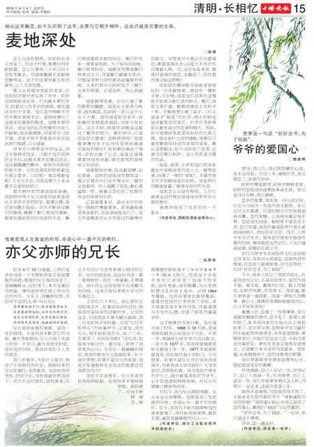 15版导读