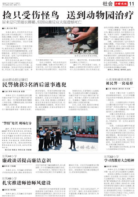 11版导读