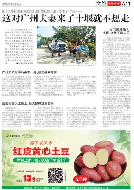 A11版导读