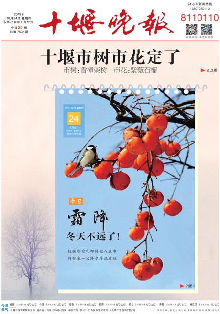 01版导读