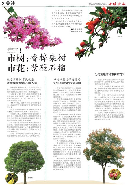 03版导读