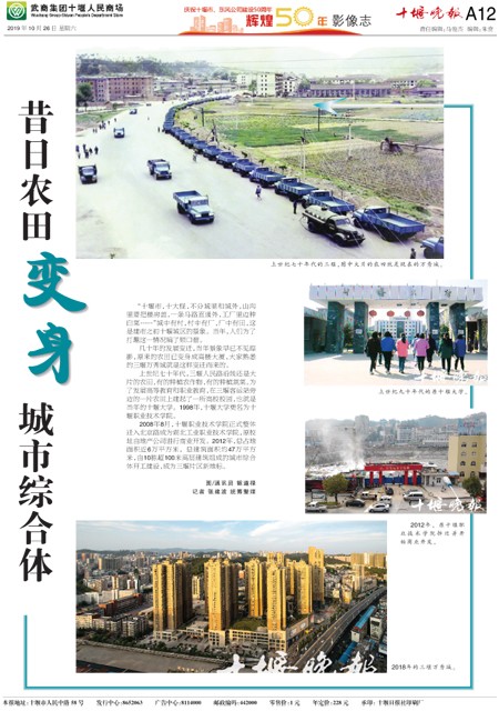 A12版导读