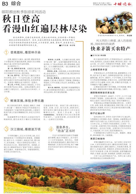 B03版导读
