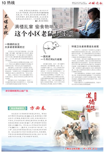 10版导读