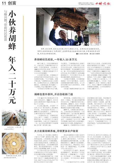 11版导读