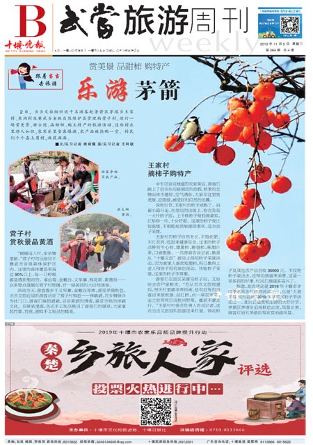 B01版导读