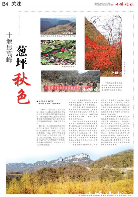 B04版导读