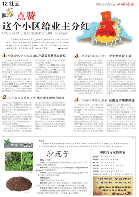 12版导读