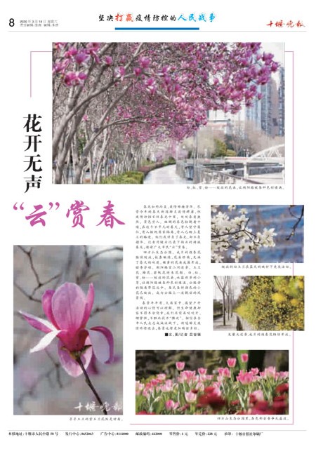 08版导读