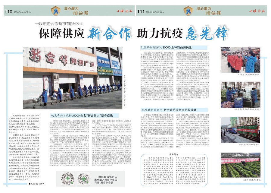 T11版导读