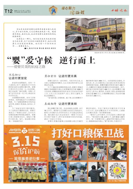 T12版导读