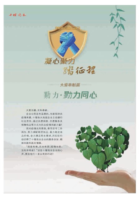 T13版导读