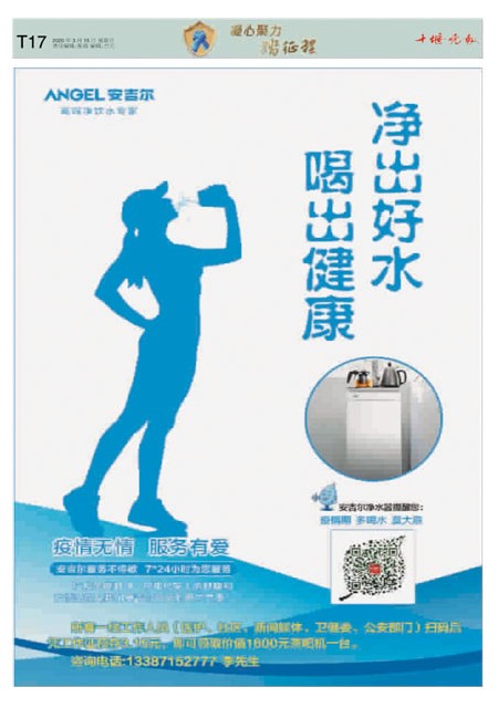 T17版导读