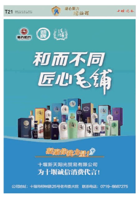 T21版导读