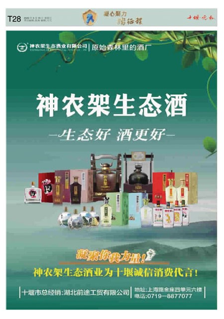 T28版导读