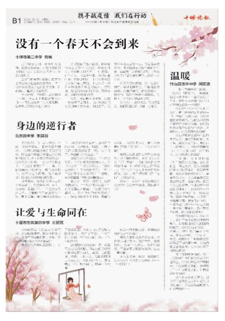 B01版导读