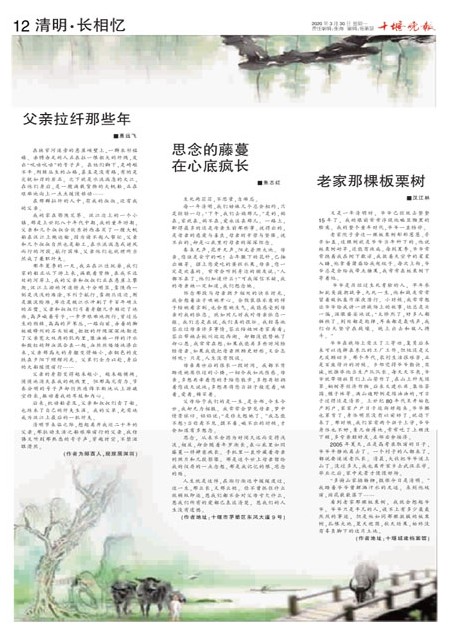 12版导读