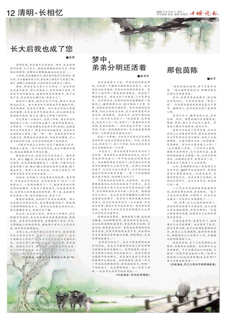 12版导读